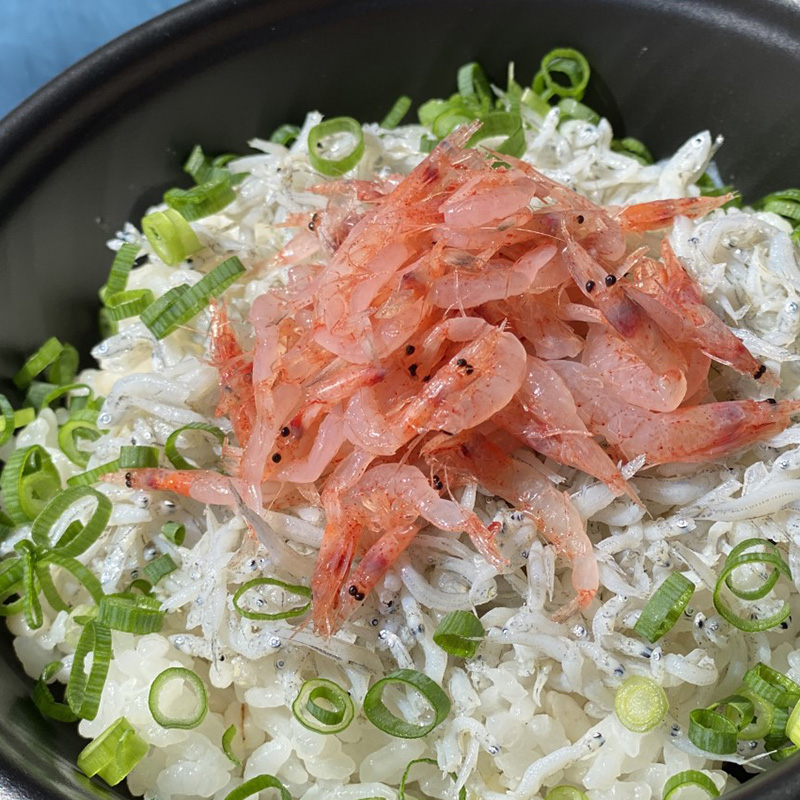 今が旬！！由比港水揚げ「釜揚げしらす&桜エビ丼」