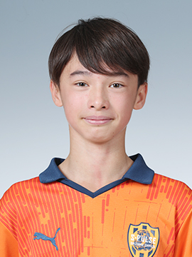 バコシュ 太陽 ヴィンセント