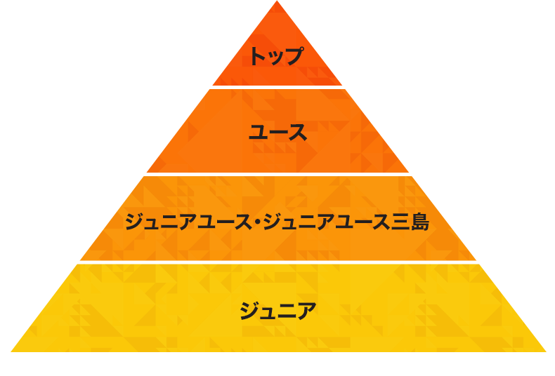 図:アカデミー構成ピラミッド