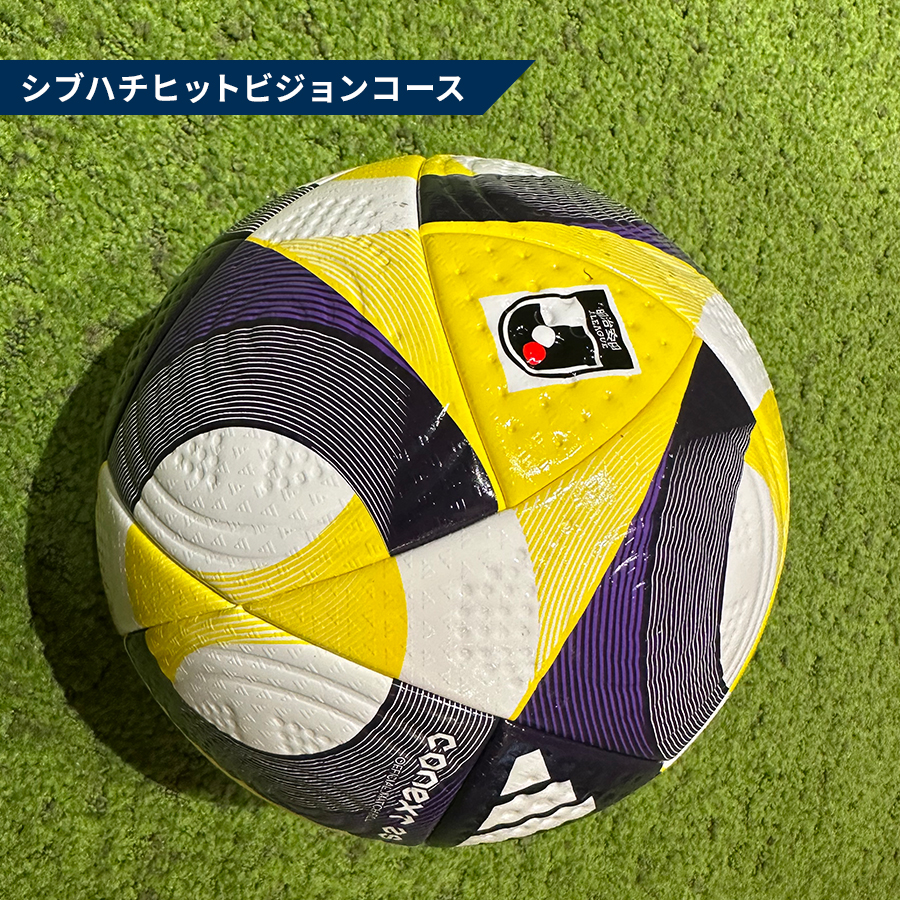 A賞 選手サイン入り試合球 1名
