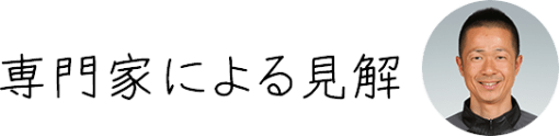 タイトル：専門家による見解