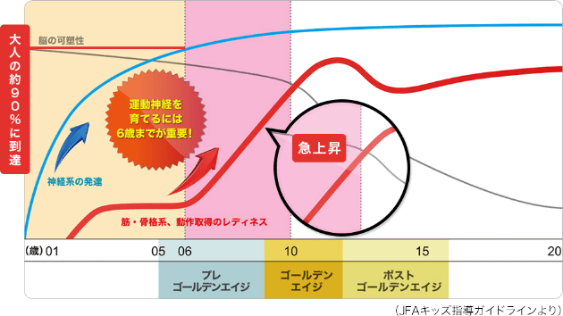 図:運動神経の成長グラフ