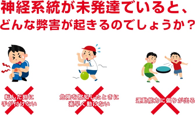 画像:神経系統が未発達でいると、どんな弊害が起きるのでしょうか?