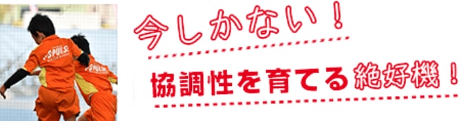 今しかない協調性を育てる絶好機！