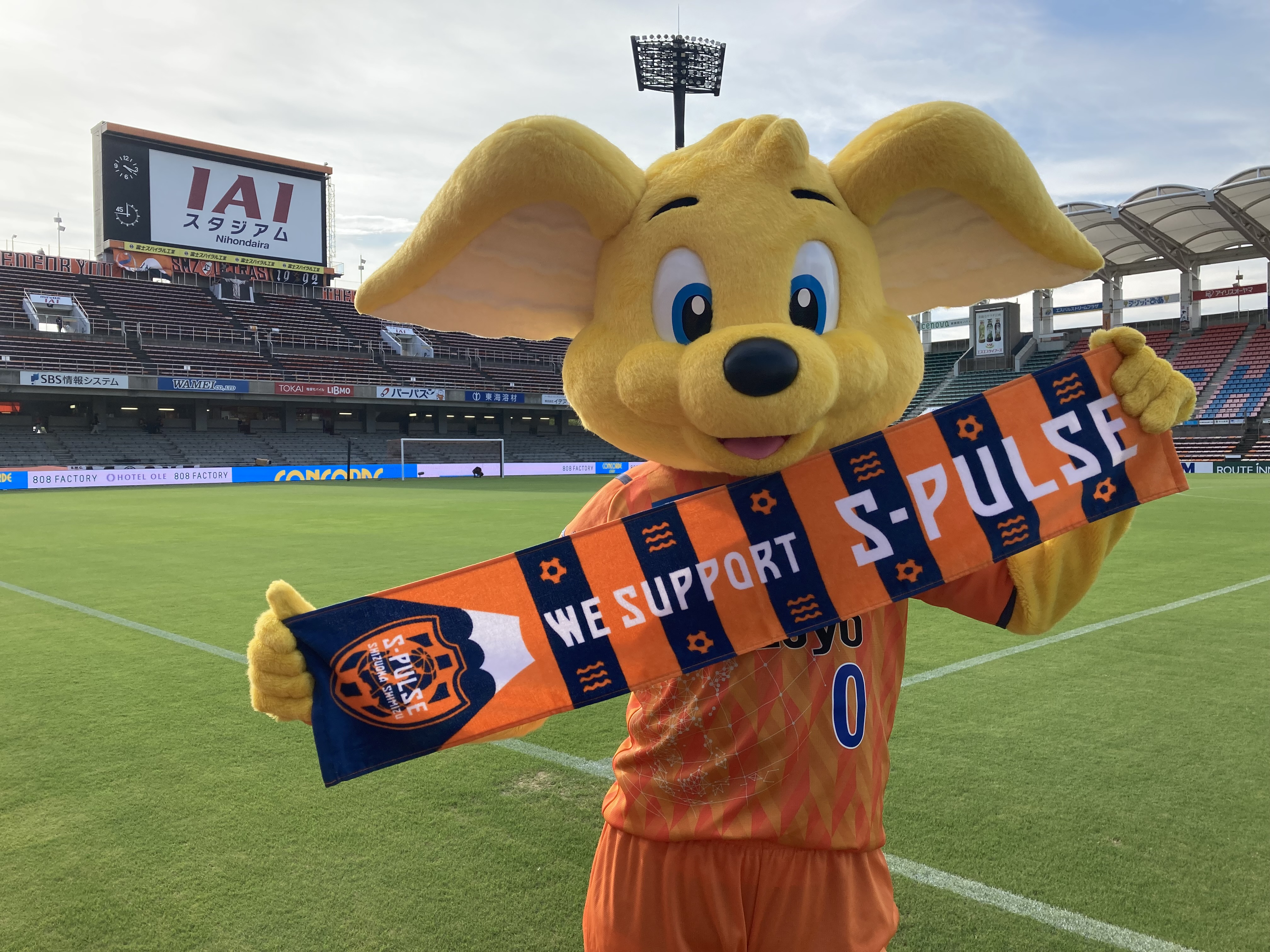 ブランドのギフト 清水エスパルスvs柏レイソル 駐車券 清水エスパルス その他 Lvahotair Com