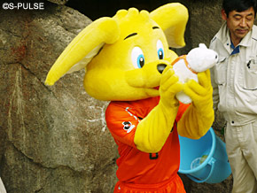 イベントレポート】エスパルス×日本平動物園コラボレーション