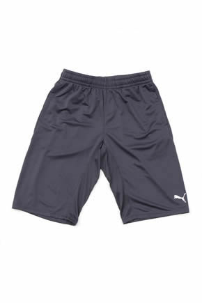 選手着用モデル「2016PUMA 公式試合用ウェア」発売のお知らせ | 清水