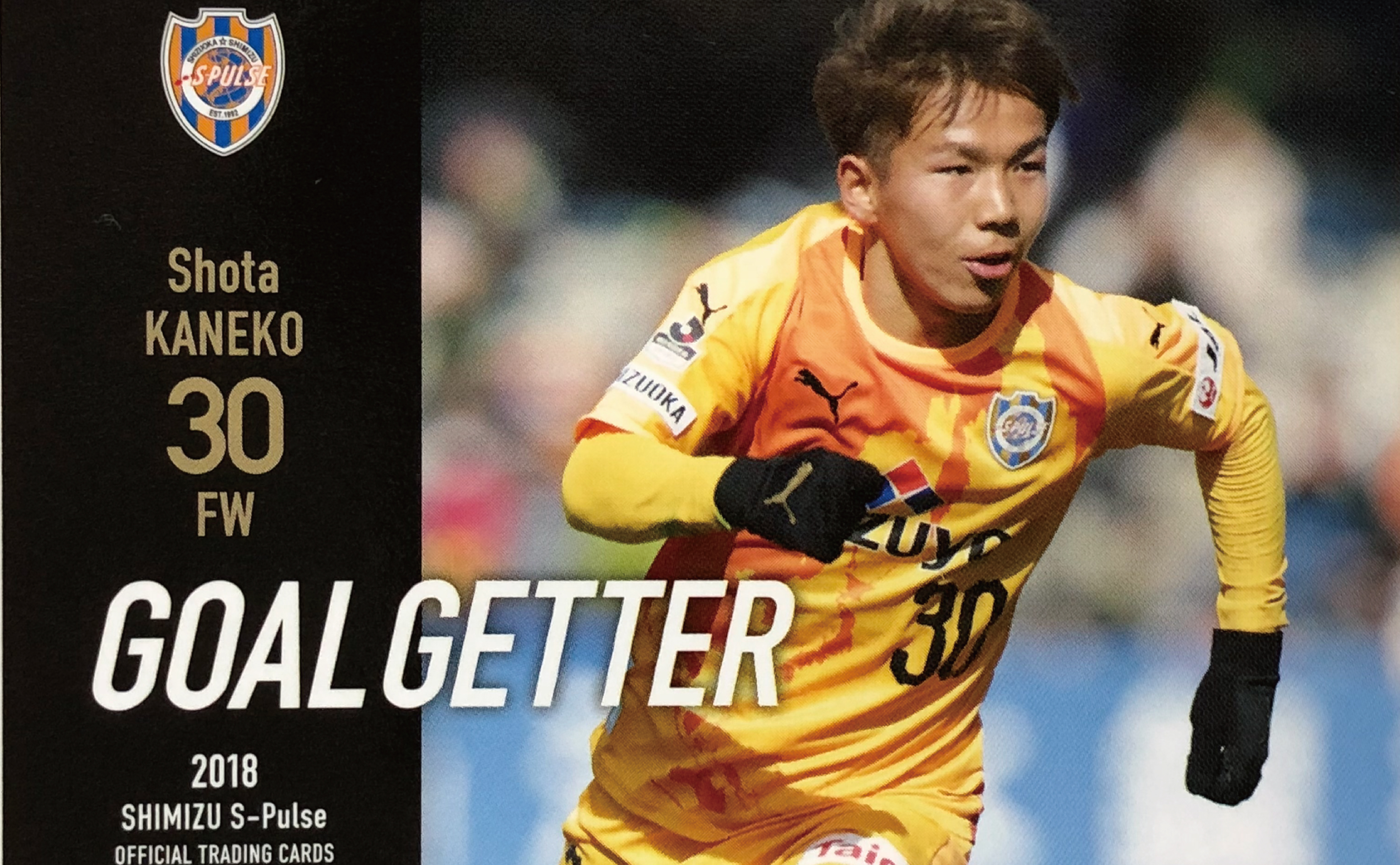 感謝報恩 エスパルス選手カード 2018年 通販
