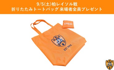 清水エスパルスバック Amazon.co.jp: 清水エスパルス バックパック アダルト 多機能